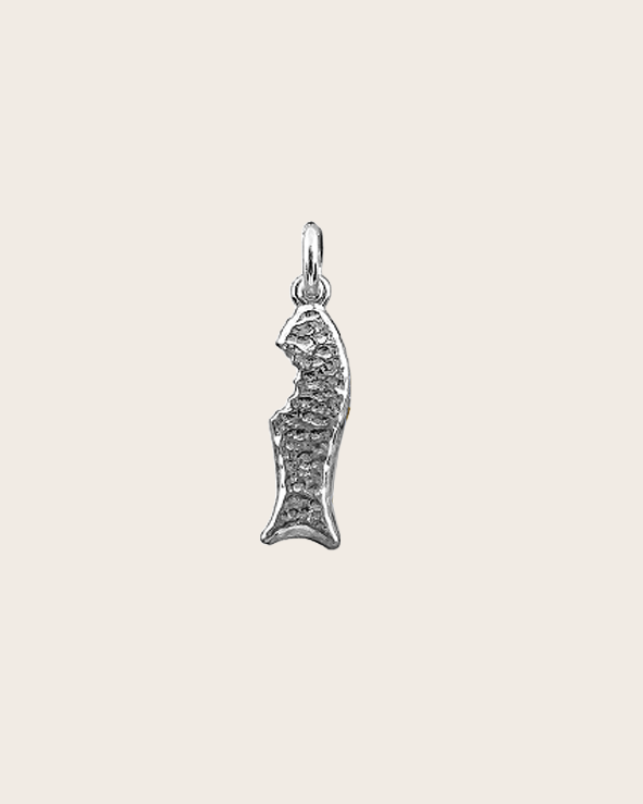 Sterling Silver Eaten Chocolate Fish Charm