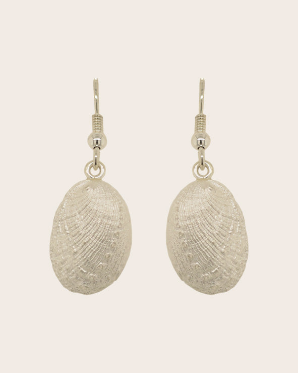 Sterling Silver Paua Shell Drop Earrings