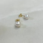 9ct Yellow Gold 6mm Akoya Pearl Stud Earrings