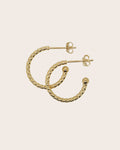 9ct Yellow Gold Small Twisted Hoop Earrings